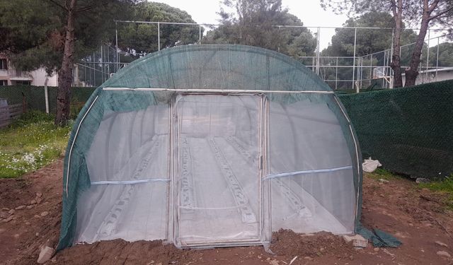 Çöp, toprakla buluştu: Bergama’da atıktan fideye dönüşüm