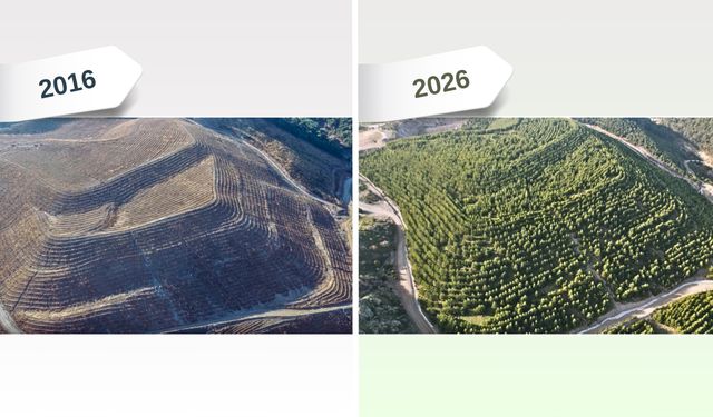 Maden sahaları rehabilitasyonla yeniden canlanıyor