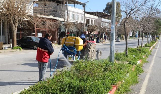 Menderes’te ot ilaçlama çalışmaları başladı
