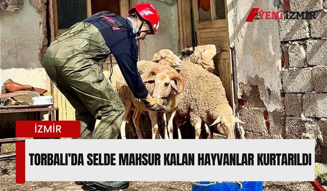 Torbalı’da selde mahsur kalan hayvanlar kurtarıldı