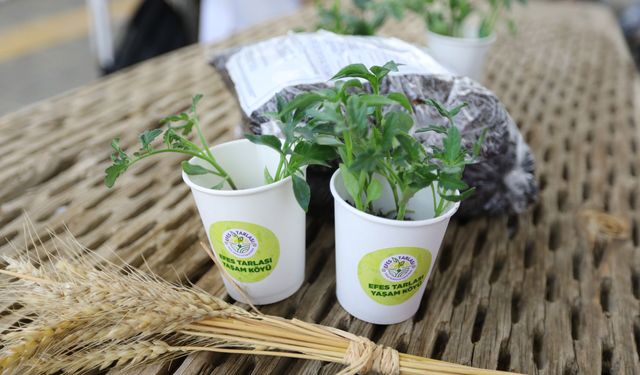 Efes Selçuk’tan yerel tohumlar tüm Türkiye’ye yayılıyor