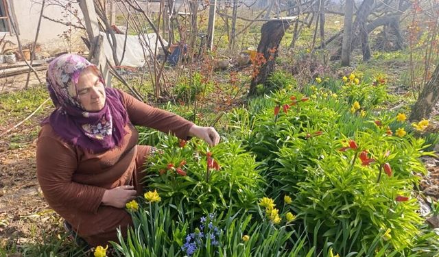 Kütahya'da "Ağlayan Gelin" bahçeleri görsel şölen sunuyor