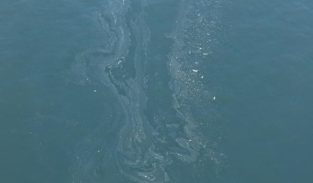 İzmir Körfezi’nde dikkat çeken görüntüler