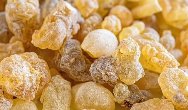 Doğanın botoks etkisi: Akgünlük sakızı serumu nedir, nasıl kullanılır?