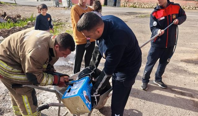 Hatay’da mahsur köpekleri itfaiye ekipleri kurtardı