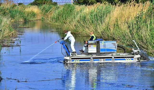 İzmir’de sivrisinekle mücadelede teknoloji sahaya indi
