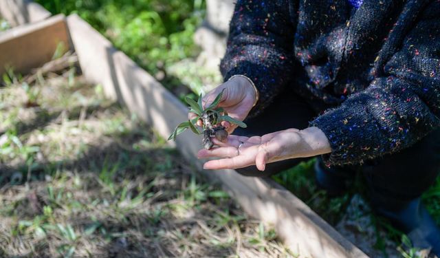 İzmir'deki kurs hayatını değiştirdi: Bahçede üretime başladı!