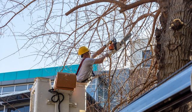 Karşıyaka’da budama seferberliği başladı