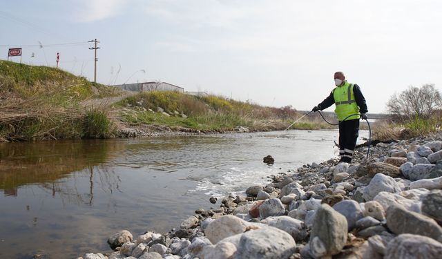 Kemalpaşa’da haşerelere karşı mücadele başladı