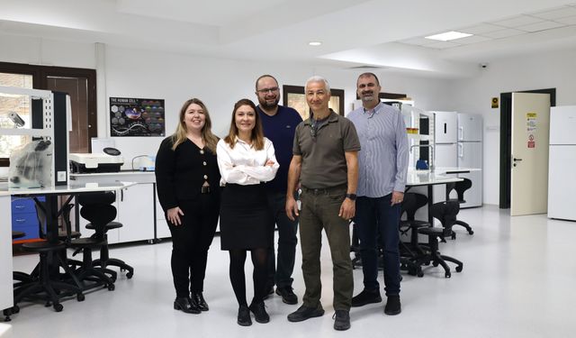 Kemik erimesi tedavisinde yeni umut