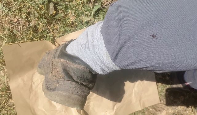 Kene kabusu geri geldi!