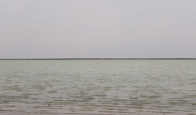 Kırşehir Seyfe Gölü’nde flamingo şöleni