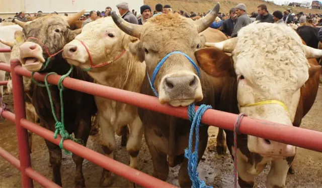 Kurban Bayramı ne zaman? 2026 bayram tatili 9 gün olacak mı?