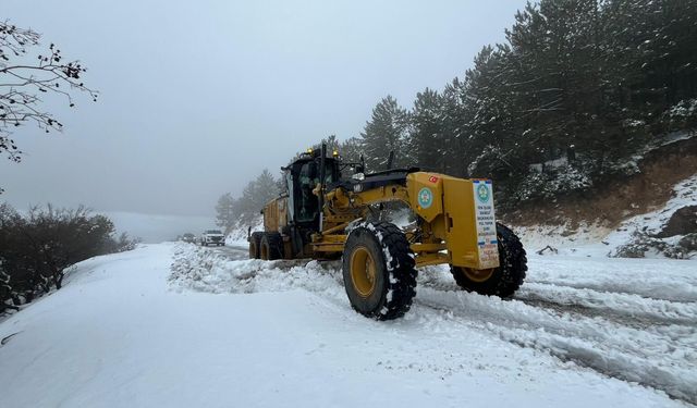 Spil’de bahar sürprizi: Manisa’da bayramda kar mesaisi