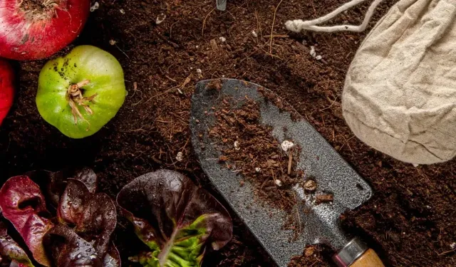 Çiftçiye 10,6 milyar liralık cansuyu: Mazot ve gübre desteğinde yeni dönem