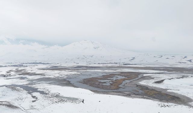 Sarısu sazlıklarında kış manzarası büyülüyor