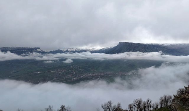 Derecik’te sis ve güneş doğada kartpostallık manzara oluşturdu