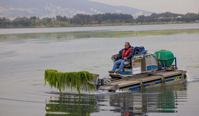 İzmir’de yosun alarmı