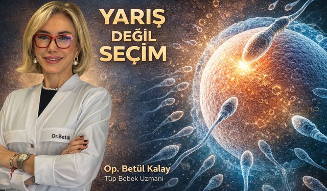 Döllenmede son karar kadının: 'Yarış değil, seçim'