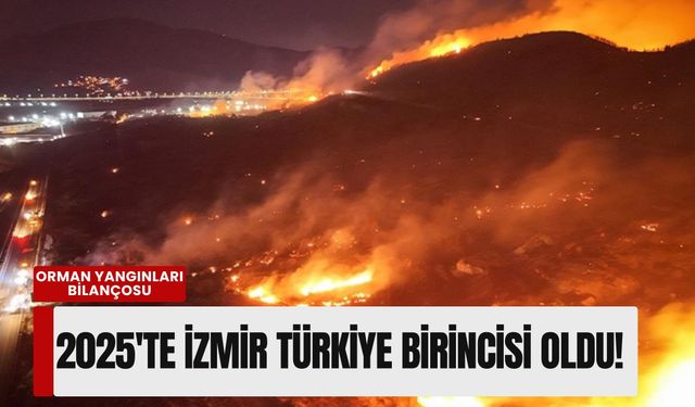 2025 orman yangınları bilançosu: İzmir Türkiye birincisi oldu!