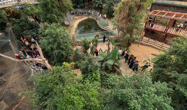 İzmir’de çocuklara bayram sürprizi: Bir hafta boyunca ücretsiz olacak