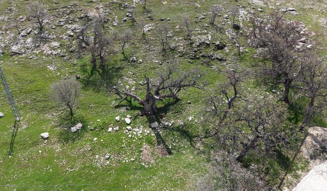 Gülistan Doku dosyasında yeni görüntü: İddia edilen mezar havadan tespit edildi