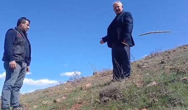 Bakması bedava, koparmanın cezası 700 bin TL!