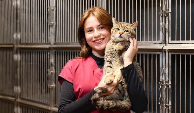 Buca’da 599 patili dost yeni yuvasına kavuştu