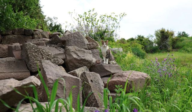Çeşme’de otizm farkındalığı için yürüyüş düzenlendi