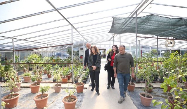 Karşıyaka Belediyesi kendi ürettiği bitkilerle parkları yeşillendiriyor