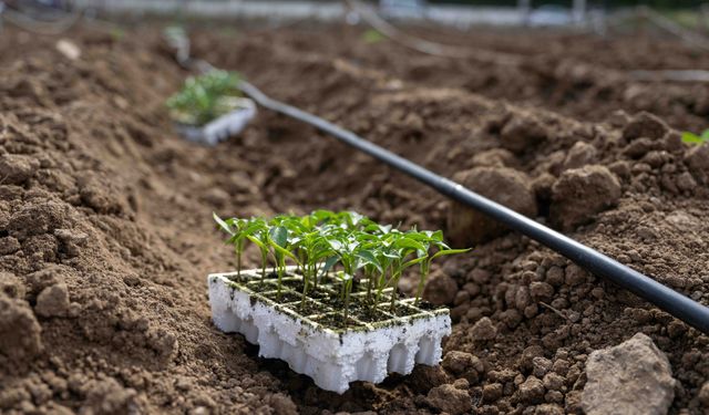 Bornova’da umut toprakla büyüyor