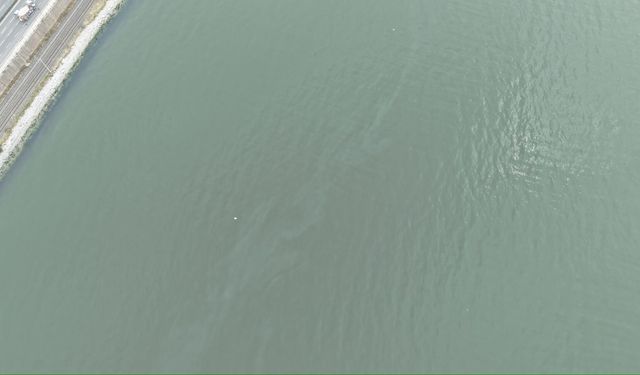 İzmir Körfezi ‘İmdat’ diyor