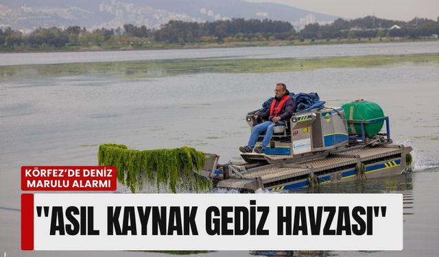 Körfez’de deniz marulu alarmı: 'Asıl kaynak Gediz havzası'