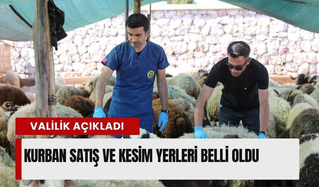 İzmir Valiliği açıkladı: Kurban satış ve kesim yerleri belli oldu