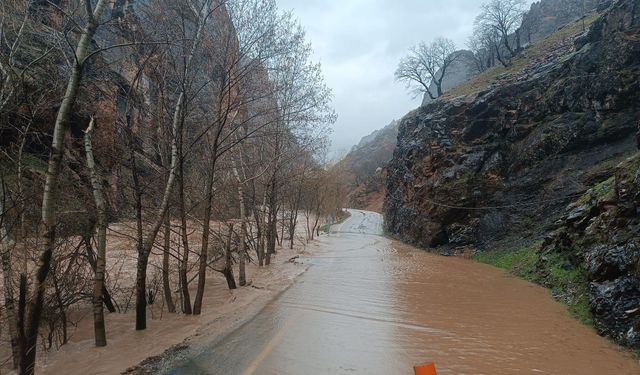 Munzur Nehri taştı: Yol ulaşıma kapatıldı