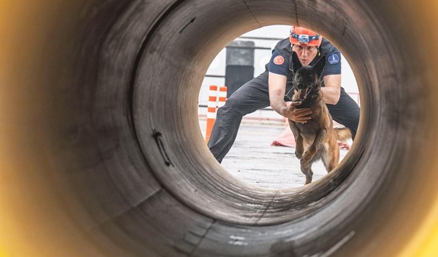 Pako'nun terk edilmiş canıydı, şimdi hayat kurtaracak