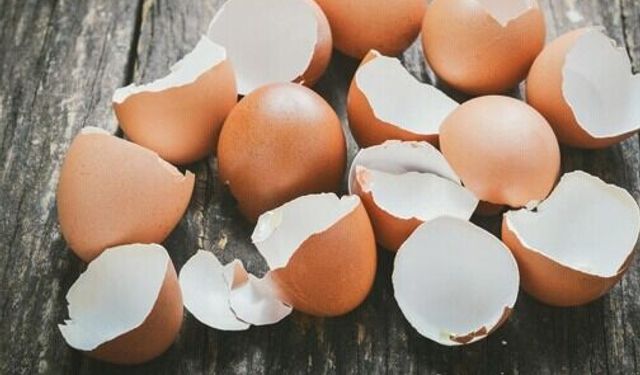 Sakın çöpe atmayın! Makineye bir avuç atınca çamaşırlar fabrika çıkışına dönüyor