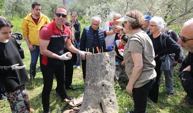 Seferihisar’da zeytin üreticilerine uygulamalı eğitim
