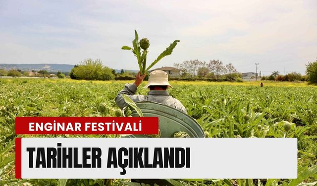 Urla’da Enginar Festivali için geri sayım: Tarihler açıklandı