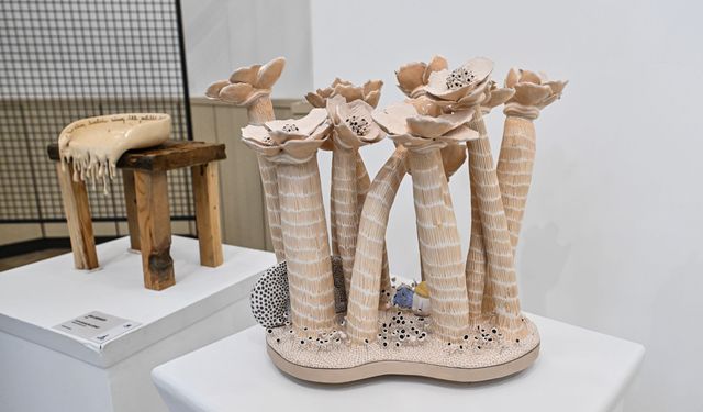 Toprağın ve ışığın buluşması: Bu sergi kaçmaz!