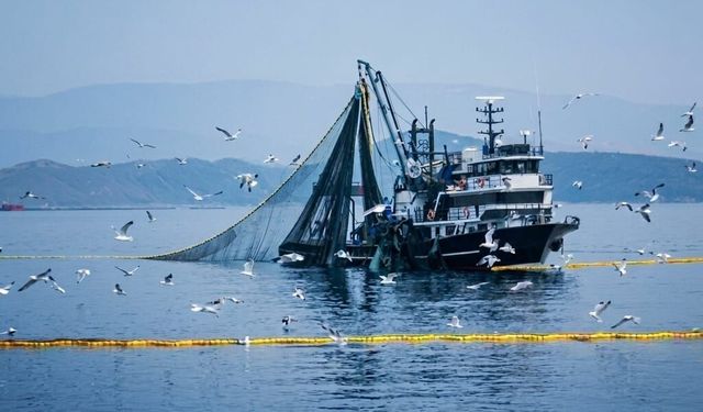 Denizlerde av yasağı 15 Nisan’da başlıyor