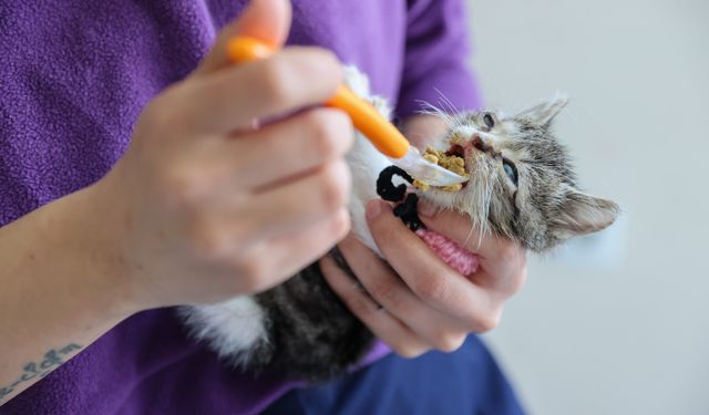 Buca Belediyesi’nden yaşam mesaisi