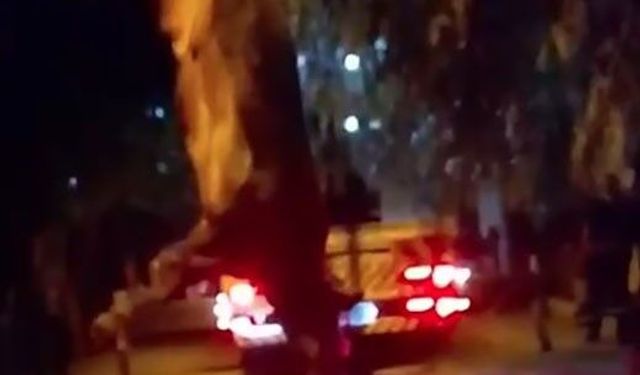 Sahibinin elinden kaçtı, dereye atladı…