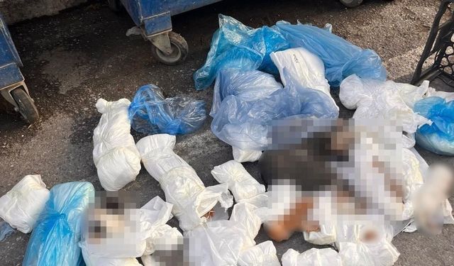 İzmir’de tepki çeken olayda flaş karar
