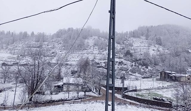 Baharda kar yağışı Sakarya’yı etkiledi