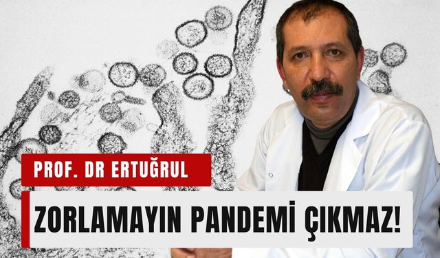 Zorlamayın! Hantavirüs'ten pandemi çıkmaz!