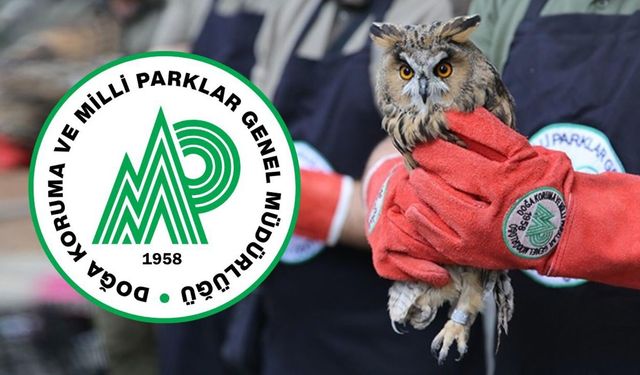 Doğa Koruma ve Milli Parklar 92 personel alacak! İşte kadrolar