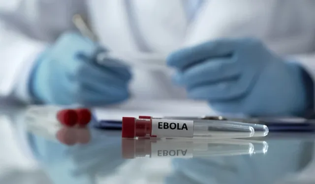 Ebola virüsü sınırları aştı!