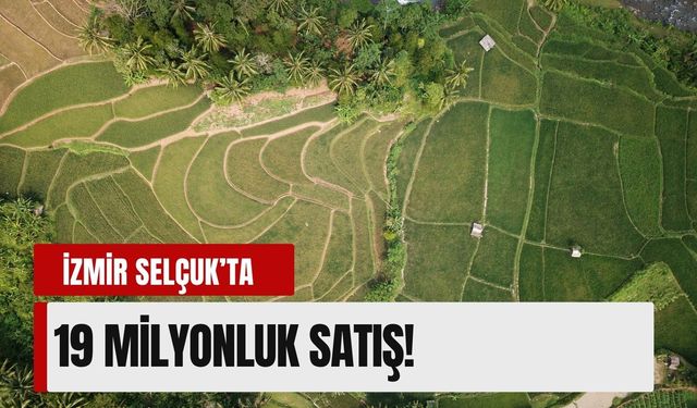 İzmir Selçuk’ta 19 milyonluk satış! Tarihin ve tarımın buluştuğu nokta satışa çıktı