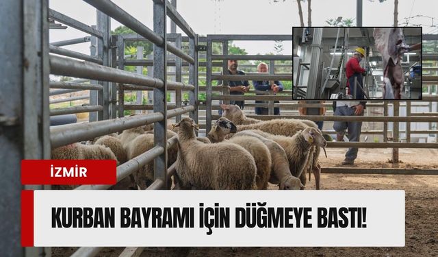 İzmir dokuz ilçede Kurban Bayramı’na hazır